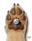 Bespoke Life Diamond - Helios Fine Jewelry Limited